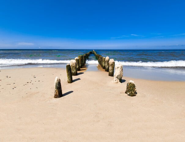 Plaża1