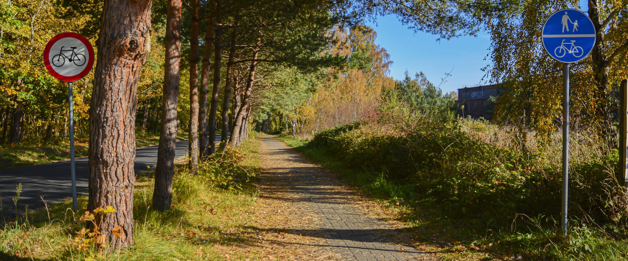 Panoramiczne 35